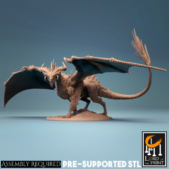 Adult Black Dragon