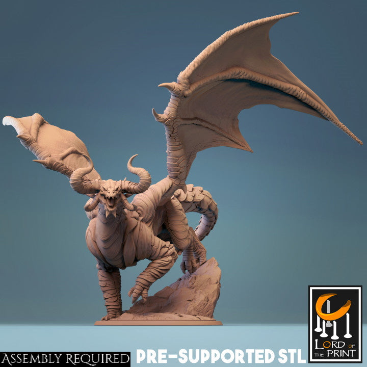Adult Cloud Dragon