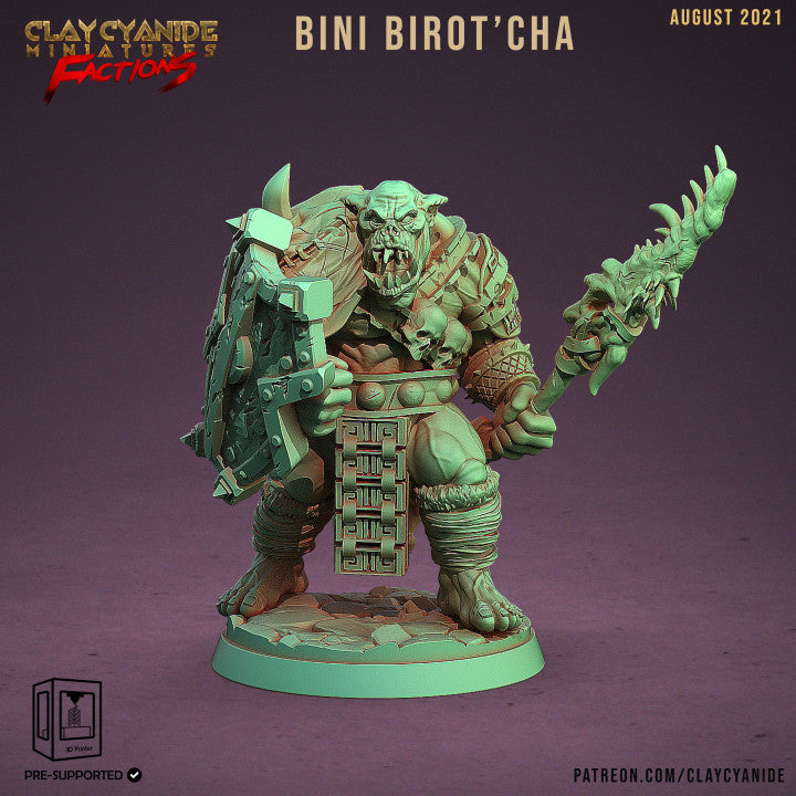 Bini Birot'Cha
