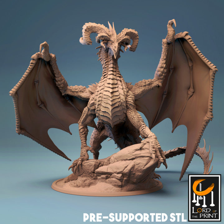 Elder Black Dragon