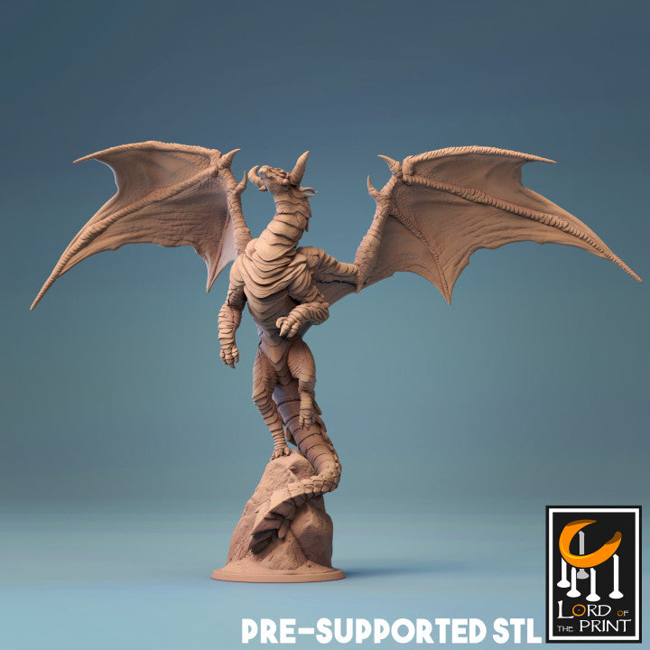 Young Cloud Dragon