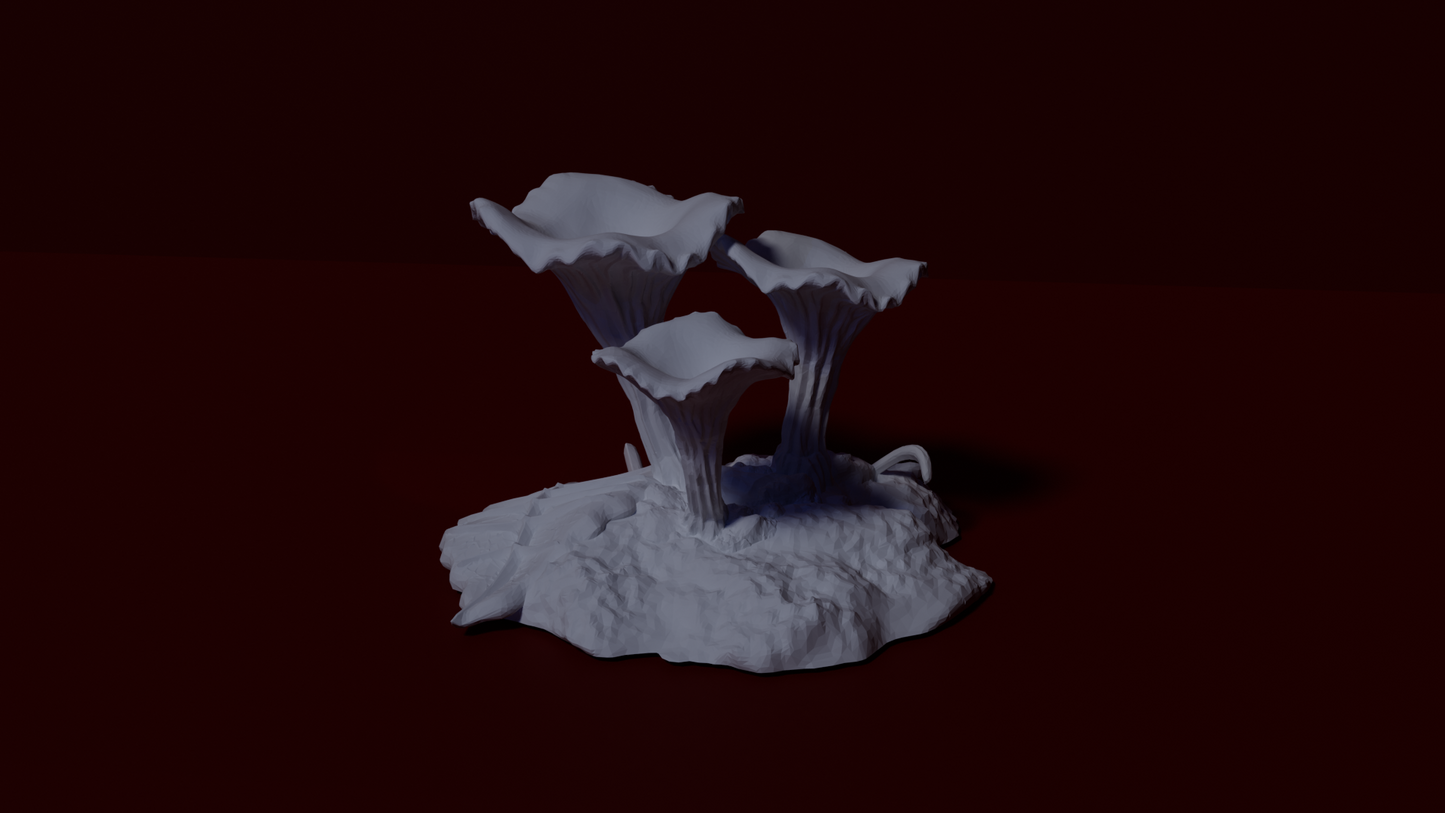 Mushroom, 5