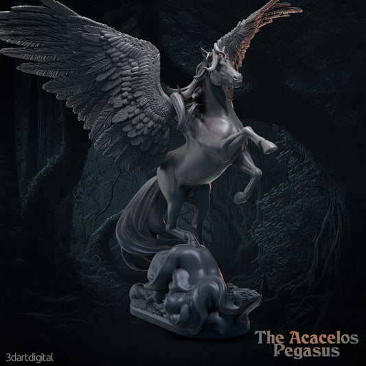 The Acacelos Pegasus
