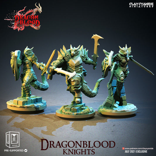Dragonblood Knights Bundle