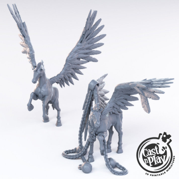 Pegasus Set