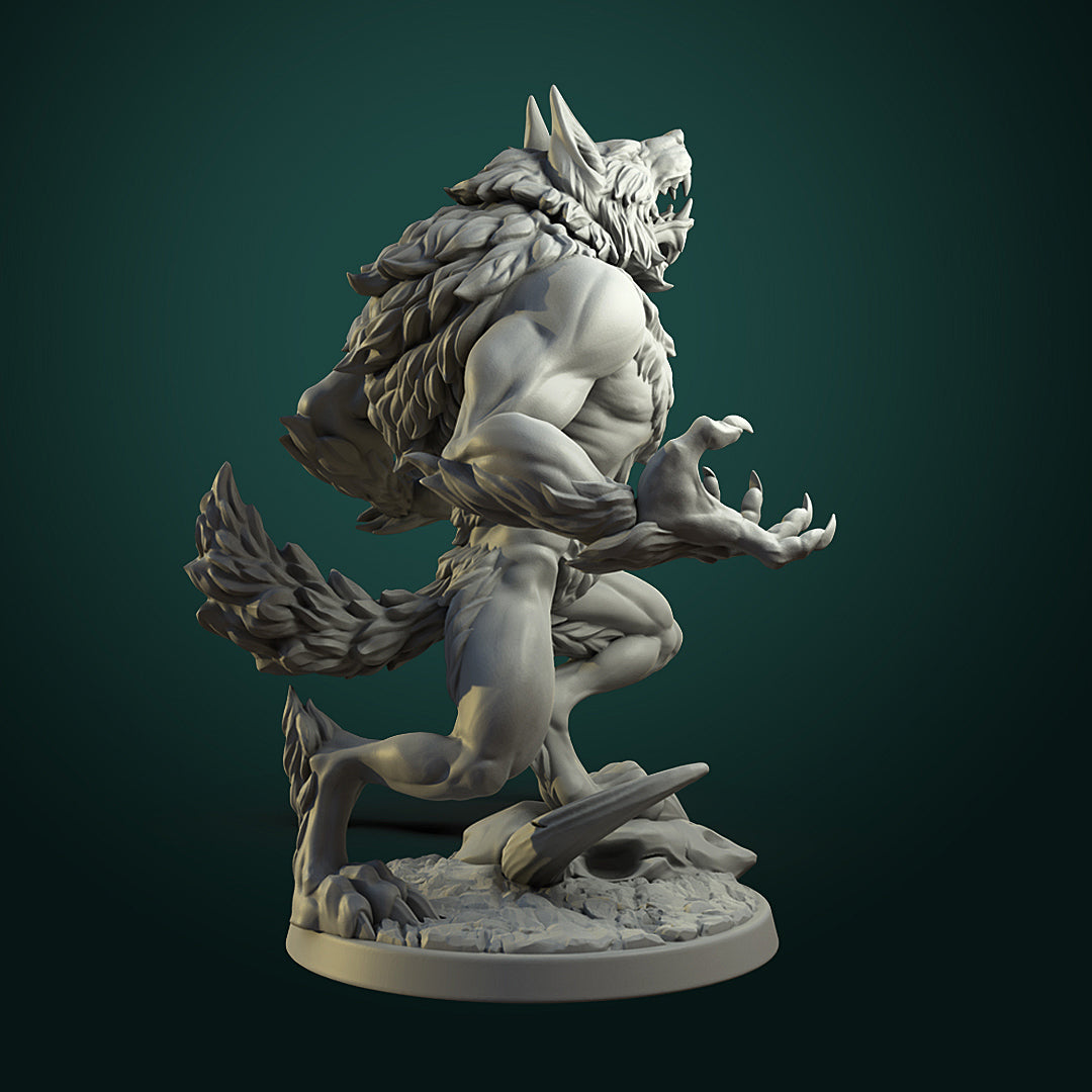 Furious Werewolf Pair