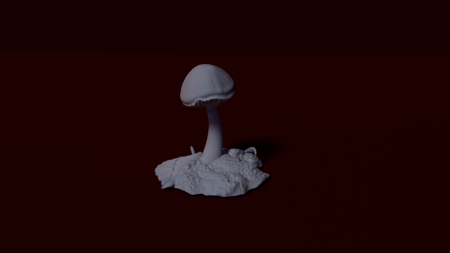 Mushroom, 10