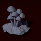 Mushroom, 2