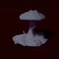 Mushroom, 6