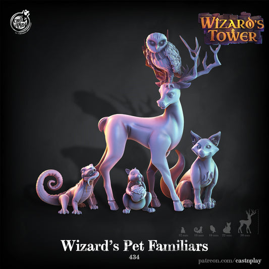 Wizard Pet Familiars